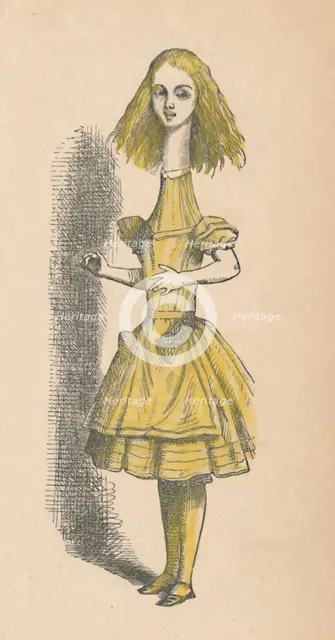 'Alice with a long neck', 1889. Artist: John Tenniel.