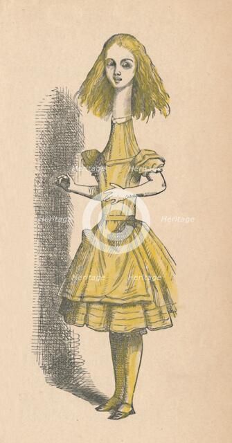 'Alice with a long neck', 1889. Artist: John Tenniel.