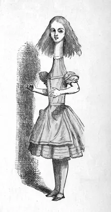 Alice with a long neck 1889. Artist: John Tenniel