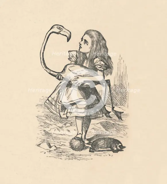 'Alice tries to play croquet with a flamingo as a mallet', 1889. Artist: John Tenniel.