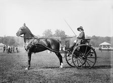 Alix Dolan & "Pride of Jersey", 1913. Creator: Bain News Service