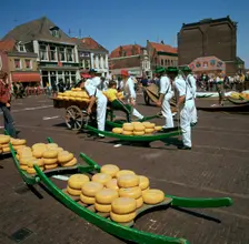 Alkmaar cheese market in Holland
