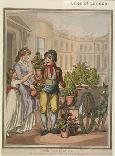 All a growing, a growing, heres Flowers for you Gardens plate VI of Cries of London, 1799. Artist: H Merke