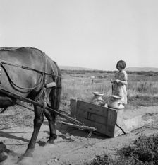 All Chris Adolf's children are hard workers..., Yakima Valley, Washington, 1939. Creator: Dorothea Lange