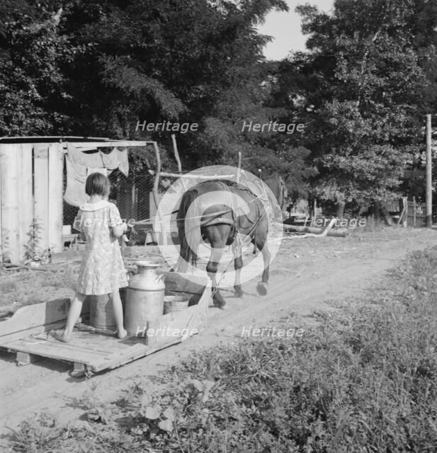 All Chris Adolf's children are hard workers on the new place, Yakima Valley, Washington, 1939. Creator: Dorothea Lange.