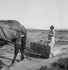 All Chris Adolf's children are hard workers..., Yakima Valley, Washington, 1939. Creator: Dorothea Lange