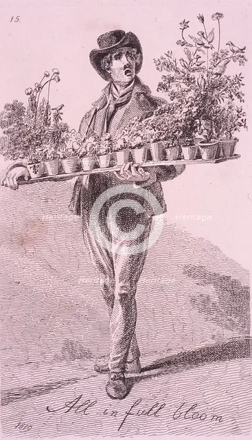 'All in full bloom', Cries of London, 1819. Artist: John Thomas Smith