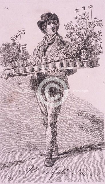 'All in full bloom', Cries of London, 1819. Artist: John Thomas Smith