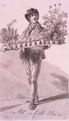 All in full bloom Cries of London, 1819. Artist: John Thomas Smith