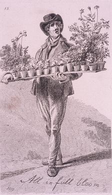 All in full bloom Cries of London, 1819. Artist: John Thomas Smith