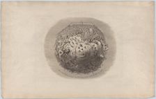 All the World is Going to See the Great Exhibition of 1851, 1851., 1851. Creator: George Cruikshank