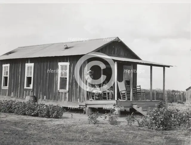 Allen Plantation operated by Natchitoches Farmstead Association, a cooperative established..., 1940. Creator: Marion Post Wolcott.