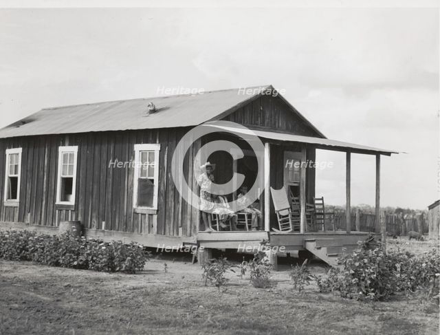 Allen Plantation operated by Natchitoches Farmstead Association, a cooperative established..., 1940. Creator: Marion Post Wolcott.