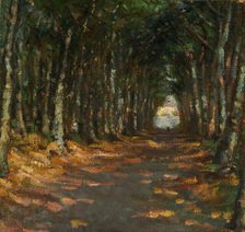 Allee dans le Parc, ca. 1906. Creator: Alice Pike Barney