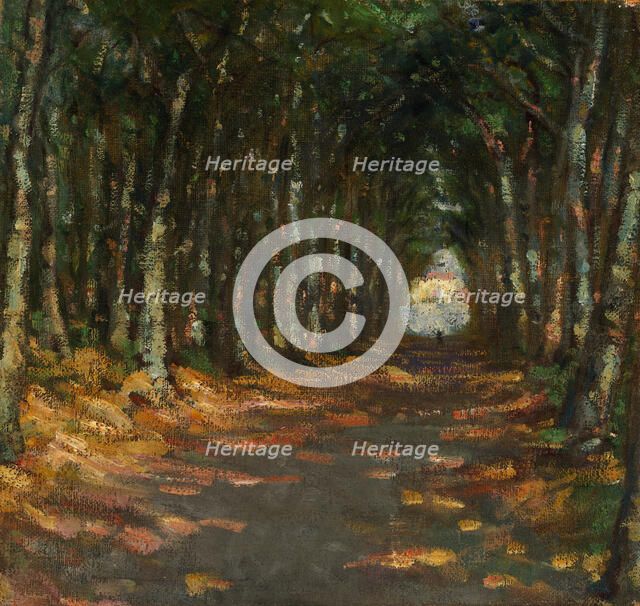 Allee dans le Parc, ca. 1906. Creator: Alice Pike Barney.