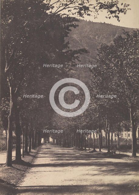 Allée of Trees, Pau, 1854. Creator: William Henri Gebhard.