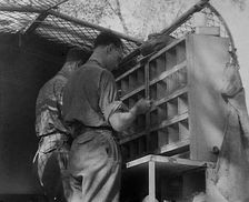Allied Soldiers Letters Being Sorted, 1943-1944. Creator: British Pathe Ltd