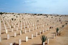 Allied War Cemetery, El Alamein, Egypt. Creator: Vivienne Sharp
