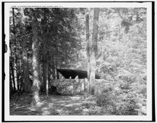 Alligator Head near South Lake, Catskill Mts., N.Y., c1902. Creator: Unknown