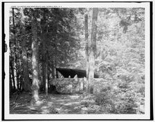 Alligator Head near South Lake, Catskill Mts., N.Y., c1902. Creator: Unknown
