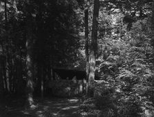 Alligator Head near South Lake, Catskill Mountains, N.Y., c1902. Creator: Unknown