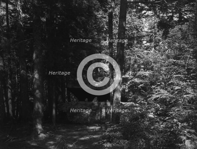 Alligator Head near South Lake, Catskill Mountains, N.Y., c1902. Creator: Unknown.