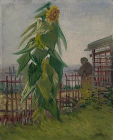 Allotment with Sunflower, 1887. Creator: Gogh, Vincent, van (1853-1890)