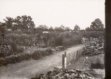 Allotments, Haxby Road, York, Yorkshire,1900