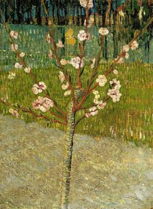 Almond tree in blossom, 1888. Artist: Gogh, Vincent, van (1853-1890)