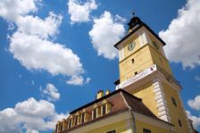 Almond trees, Mallorca, Spain