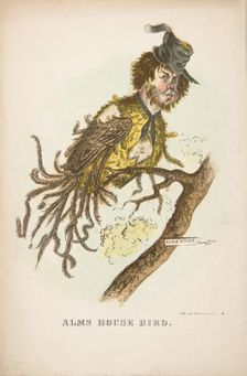 Alms House Bird, from The Comic Natural History of the Human Race, 1851. Creators: Henry Louis Stephens, L. Rosenthal