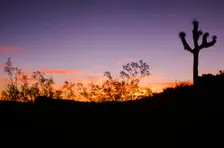 Alone at Sunset. Creator: Robert Manno