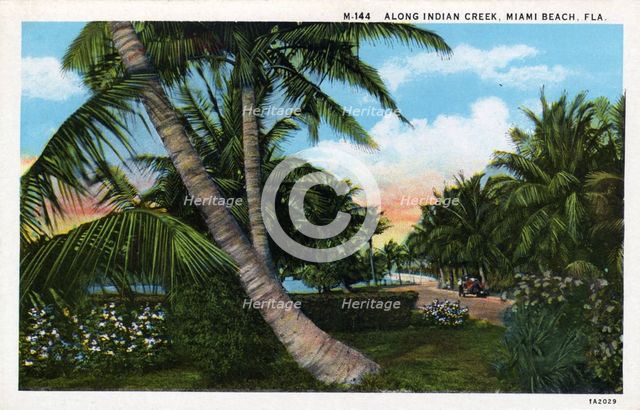 Along Indian Creek, Miami Beach, Florida, USA, 1931. Artist: Unknown