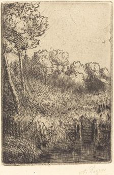 Along the Marne (Sur la Marne). Creator: Alphonse Legros