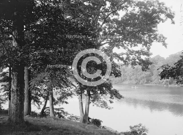 Along the Bronx River, Bronx Park, New York, c1906. Creator: Unknown.