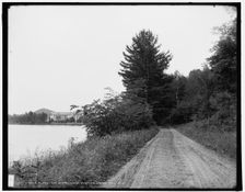 Along the shore, Lake Dunmore, Green Mountains, between 1900 and 1906. Creator: Unknown