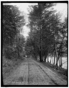Along the shore, Lake Dunmore, Green Mountains, between 1900 and 1906. Creator: Unknown
