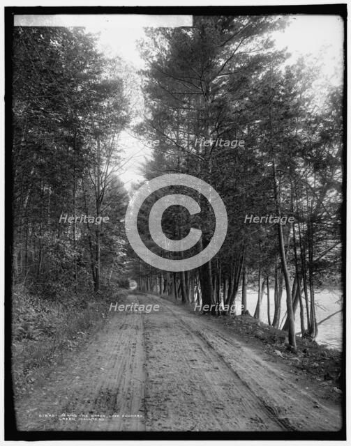 Along the shore, Lake Dunmore, Green Mountains, between 1900 and 1906. Creator: Unknown.
