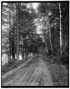 Along the shore, Lake Dunmore, Green Mountains, between 1900 and 1906. Creator: Unknown