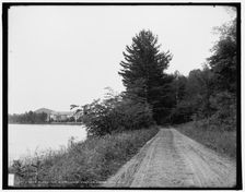 Along the shore, Lake Dunmore, Green Mountains, between 1900 and 1906. Creator: Unknown