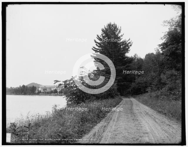 Along the shore, Lake Dunmore, Green Mountains, between 1900 and 1906. Creator: Unknown.