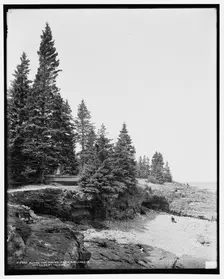 Along the shore path, Bar Harbor, Mt. i.e. Mount Desert Island, Me., c1900. Creator: Unknown