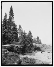 Along the shore path, Bar Harbor, Mt. i.e. Mount Desert Island, Me., c1900. Creator: Unknown