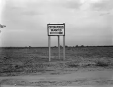 Along U.S. Highway 99, Southern San Joaquin Valley, California, 1936. Creator: Dorothea Lange