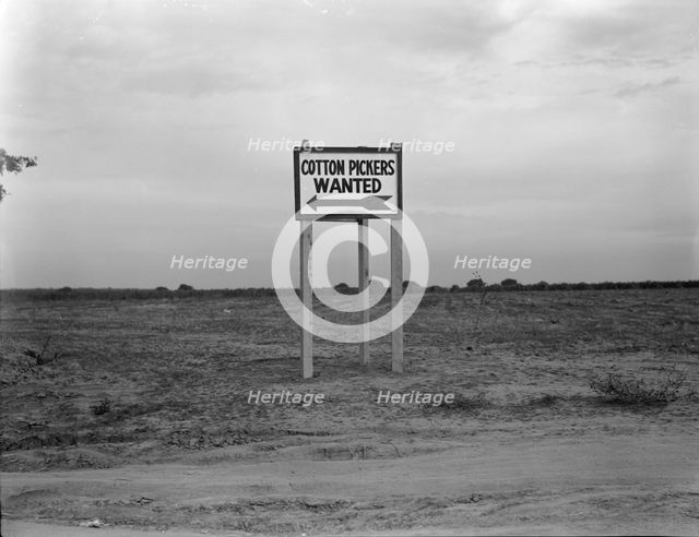 Along U.S. Highway 99, Southern San Joaquin Valley, California, 1936. Creator: Dorothea Lange.