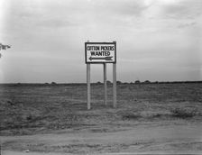 Along U.S. Highway 99, Southern San Joaquin Valley, California, 1936. Creator: Dorothea Lange