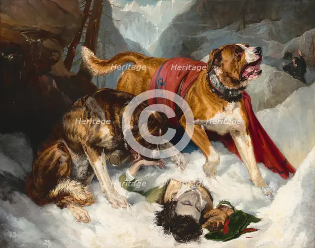 Alpine Mastiffs Reanimating a Distressed Traveler, 1820. Creator: Edwin Henry Landseer.