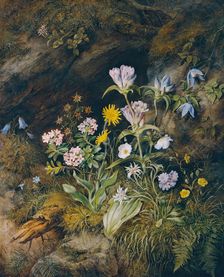 Alpine flora, 1853. Creator: Theodor Josef Petter