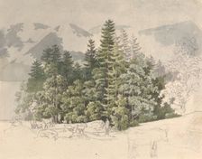 Alpine Landscape. Creator: Friedrich Salathe