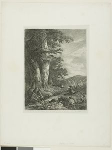Alpine Landscape, n.d. Creator: Alexandre Calame
